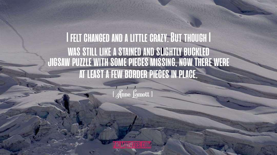 Jigsaw Puzzle quotes by Anne Lamott