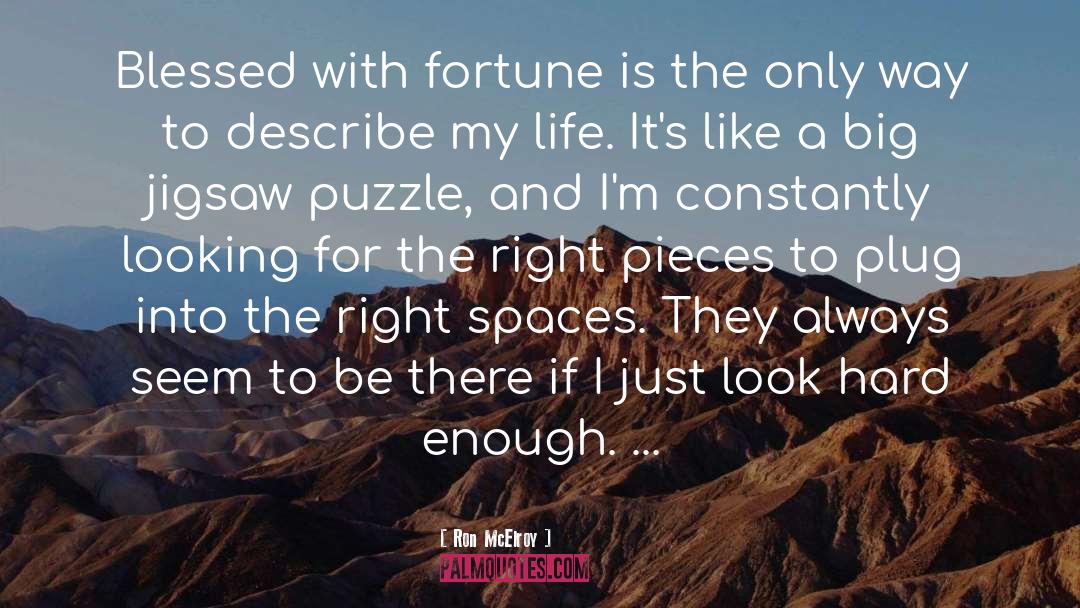 Jigsaw Puzzle quotes by Ron McElroy