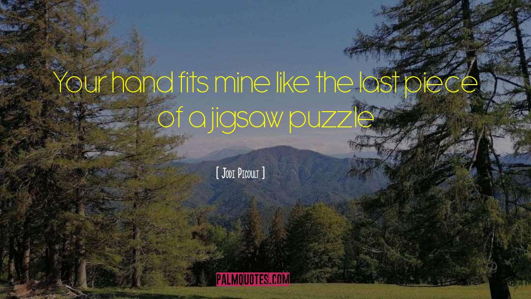 Jigsaw quotes by Jodi Picoult