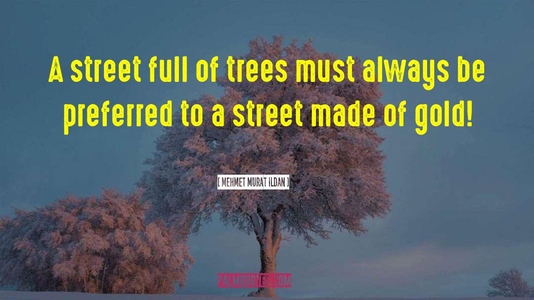 Jilting Street quotes by Mehmet Murat Ildan