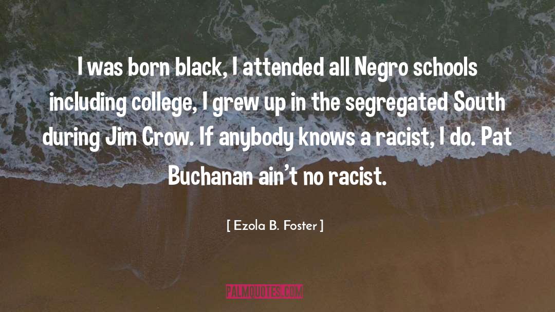 Jim Crow quotes by Ezola B. Foster