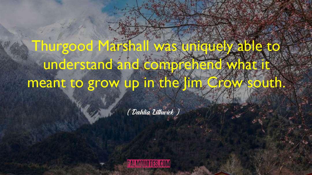 Jim Crow quotes by Dahlia Lithwick