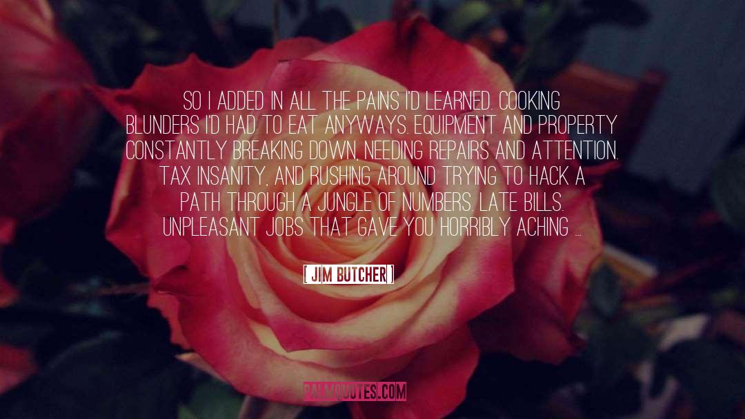 Jim Jarmusch quotes by Jim Butcher