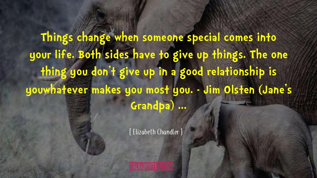 Jim Olsten quotes by Elizabeth Chandler