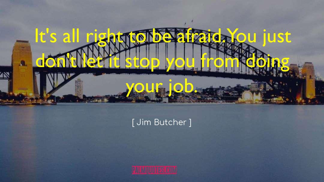 Jim Rogers quotes by Jim Butcher