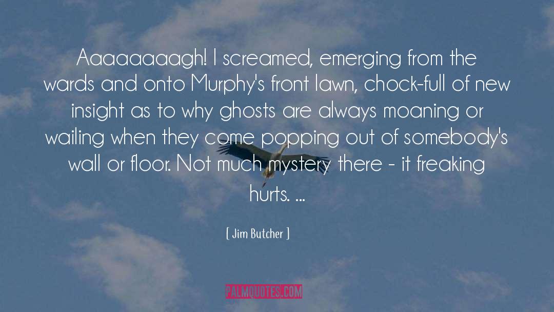 Jim Thompson quotes by Jim Butcher