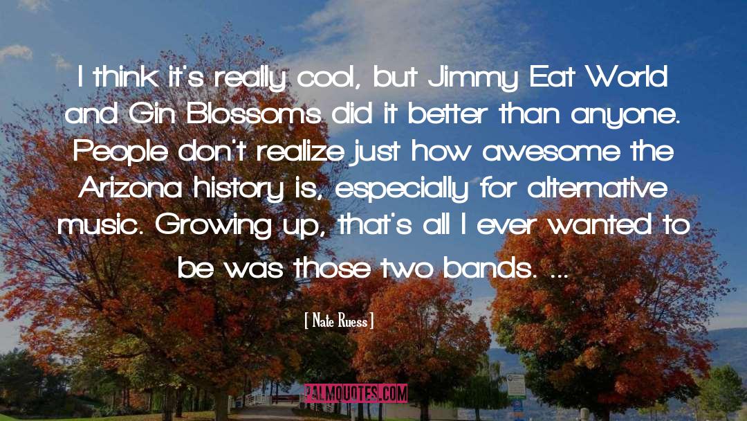 Jimmy Eat World quotes by Nate Ruess