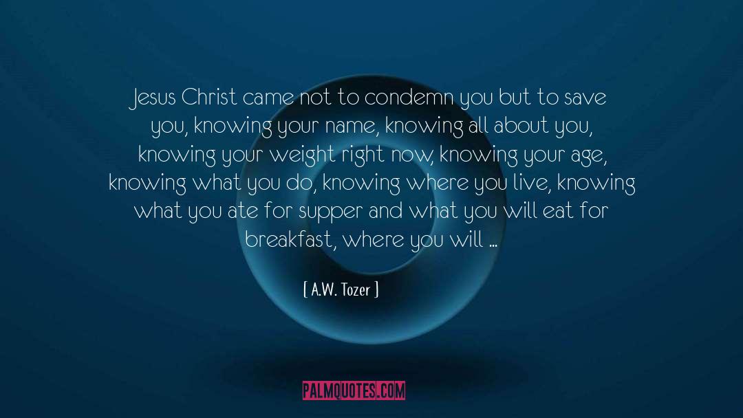 Jimmy Eat World quotes by A.W. Tozer