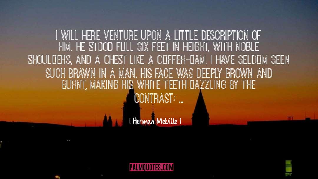 Jittering Teeth quotes by Herman Melville