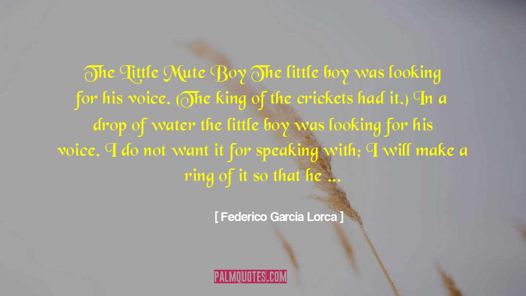 Jo S Boys quotes by Federico Garcia Lorca