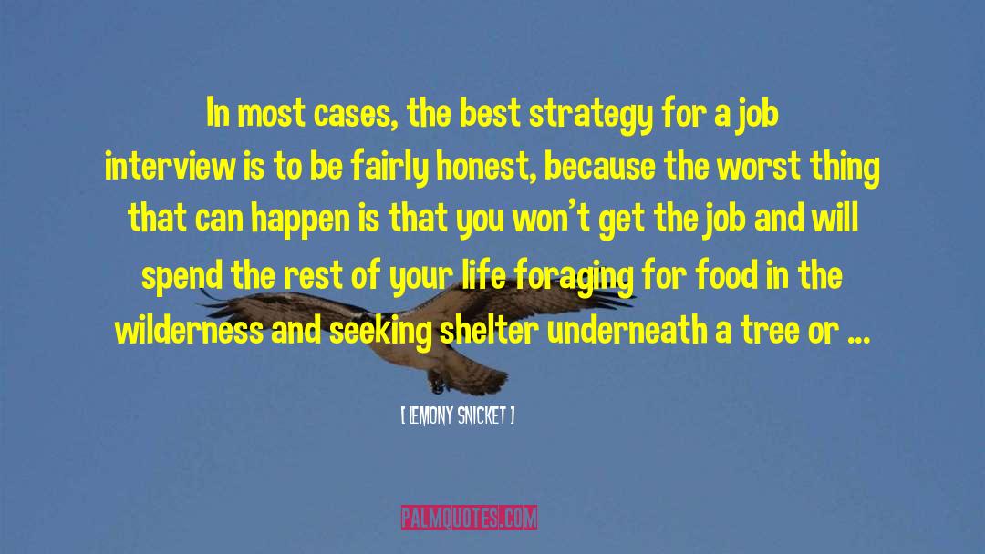 Job Interviews quotes by Lemony Snicket