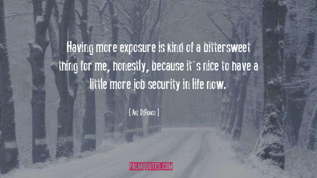Job Security quotes by Ani DiFranco