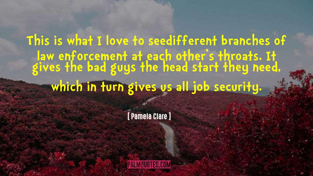 Job Security quotes by Pamela Clare