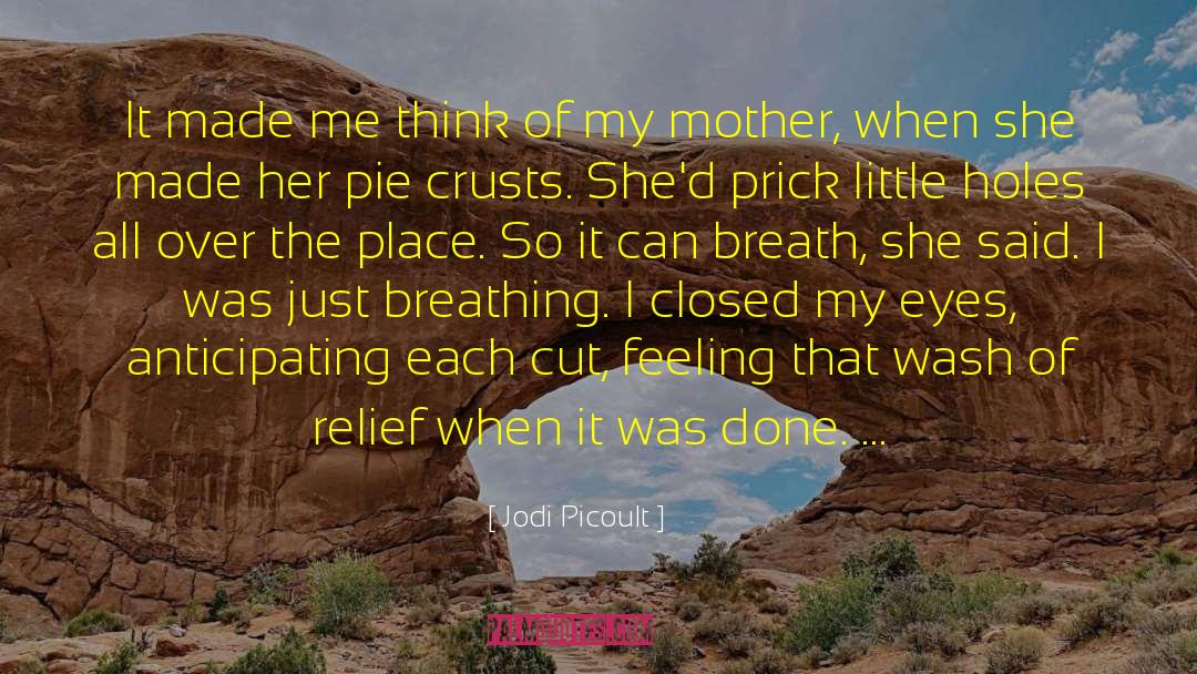 Jodi Picoult Handle Care quotes by Jodi Picoult