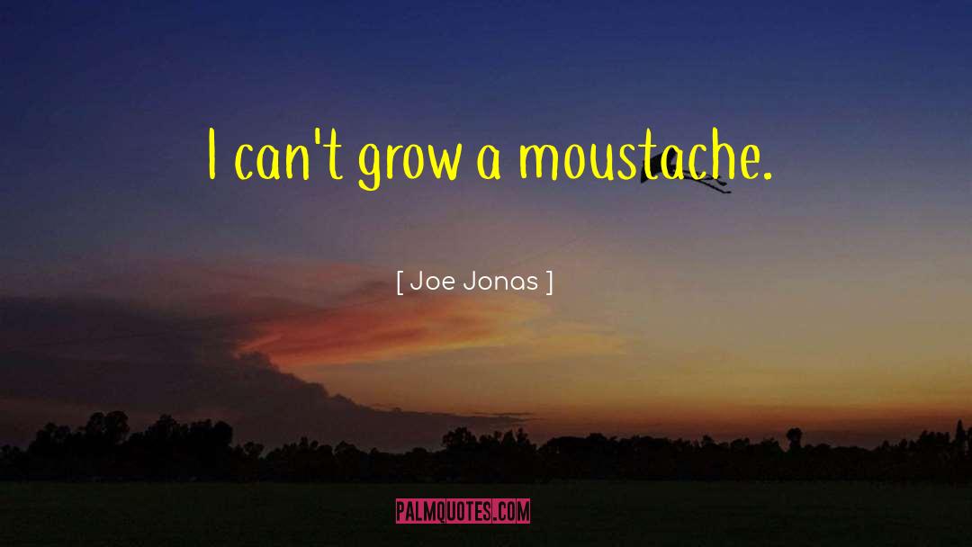 Joe Jonas quotes by Joe Jonas