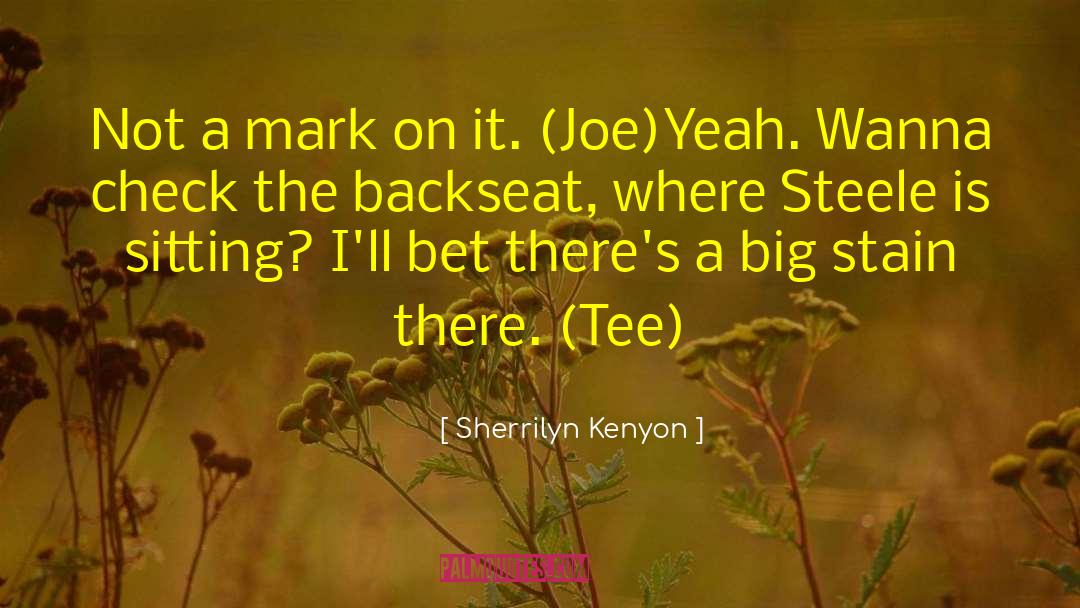 Joe Strummer quotes by Sherrilyn Kenyon