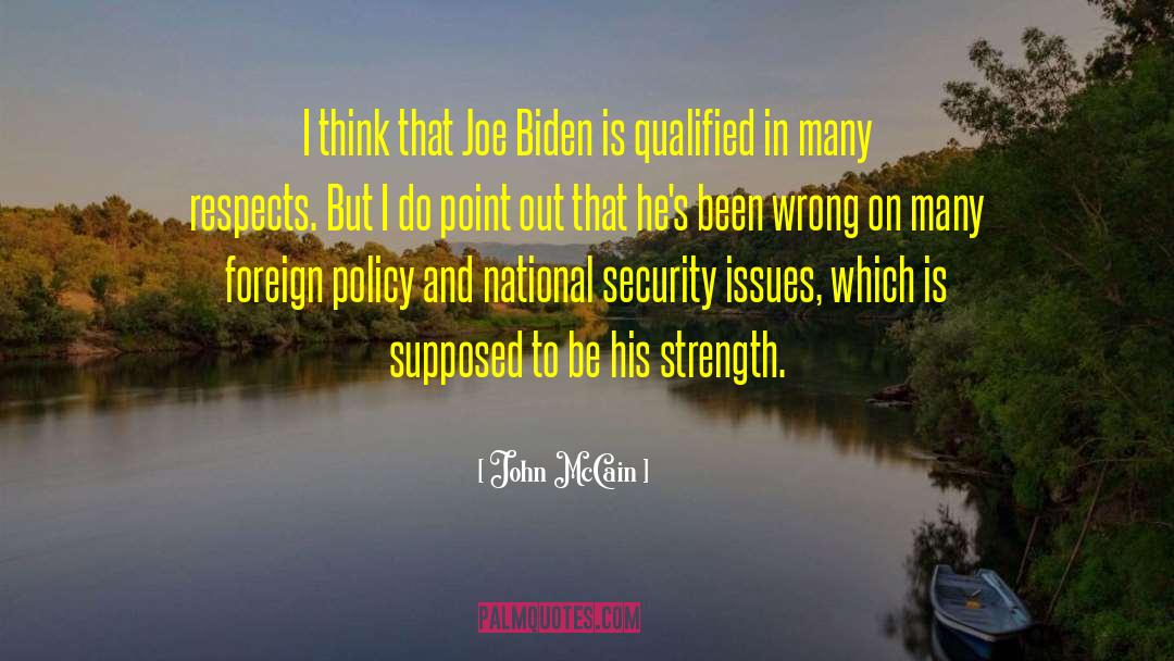 Joe Strummer quotes by John McCain
