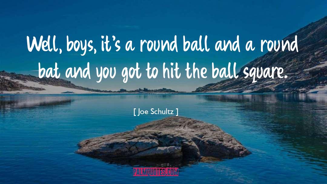 Joe Strummer quotes by Joe Schultz