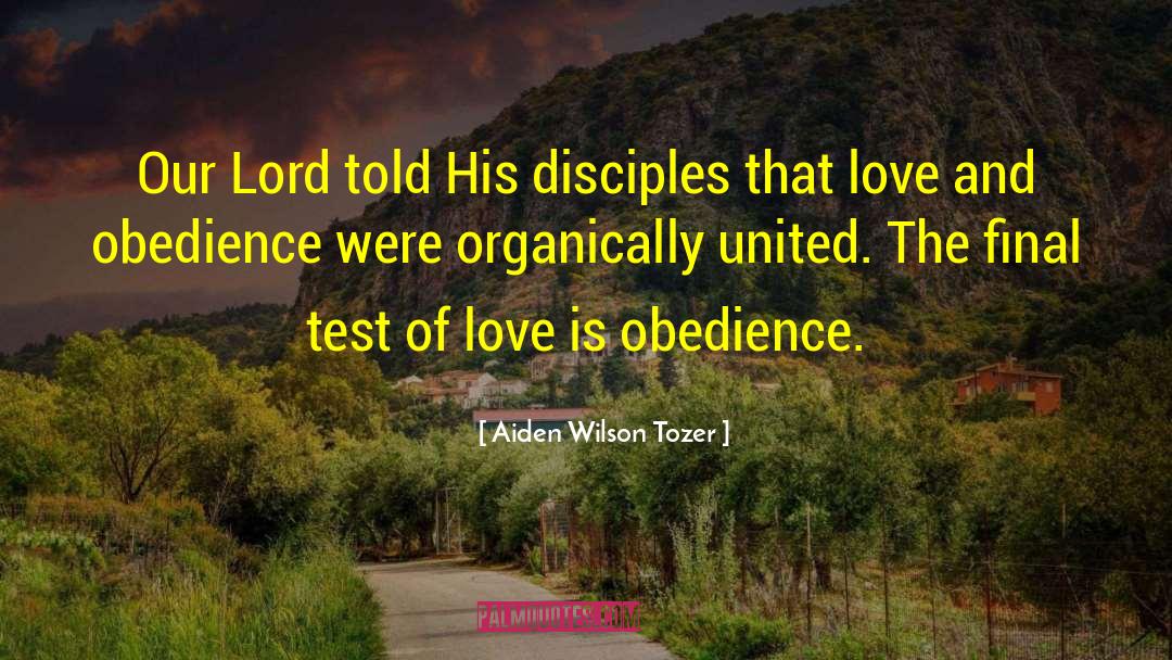 Joey Wilson quotes by Aiden Wilson Tozer