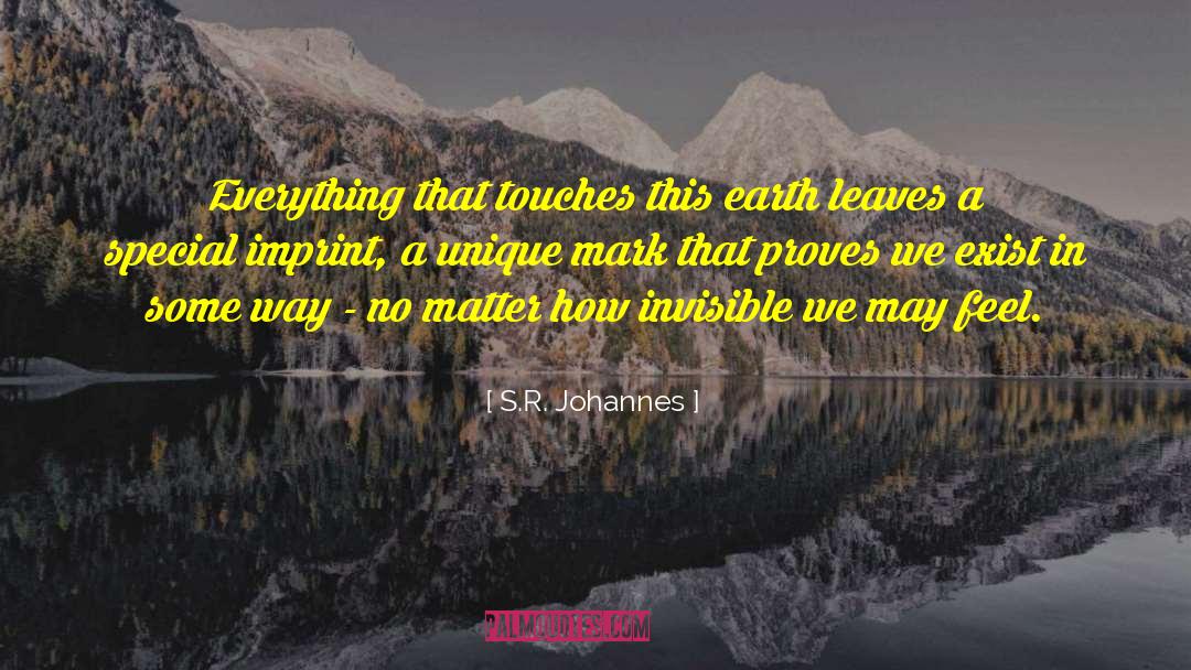 Johannes quotes by S.R. Johannes