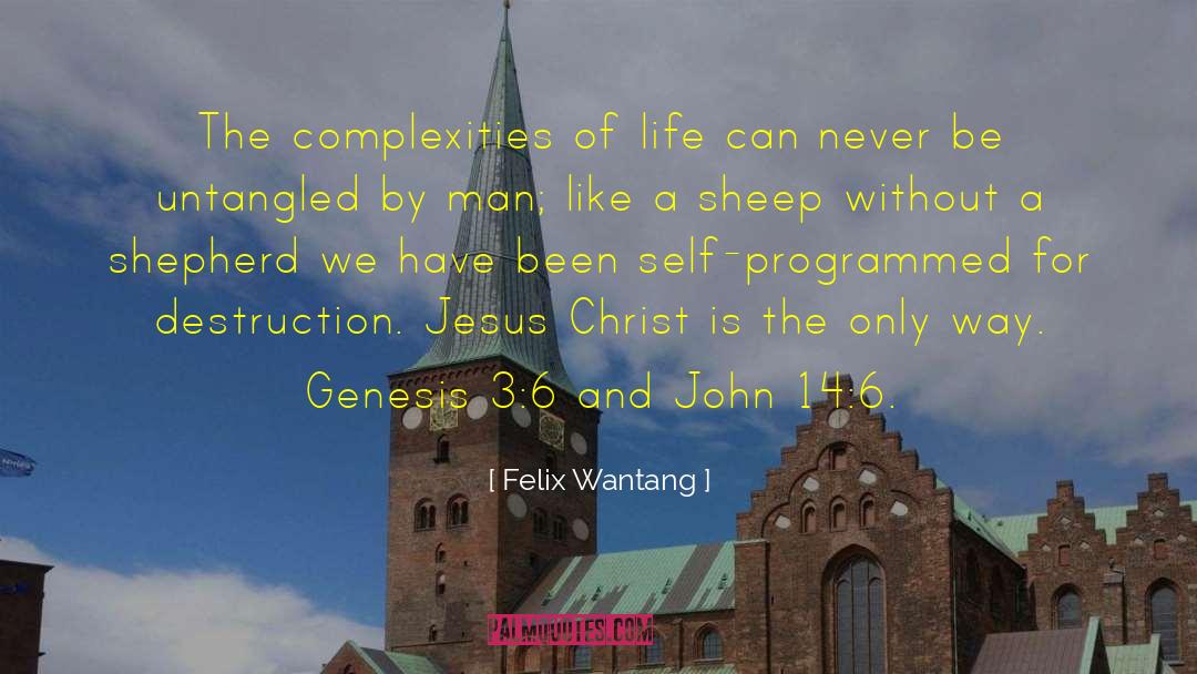 John 3 16 quotes by Felix Wantang