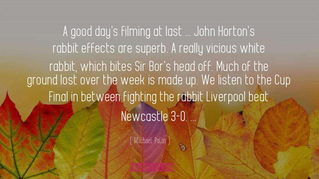 John 3 16 quotes by Michael Palin