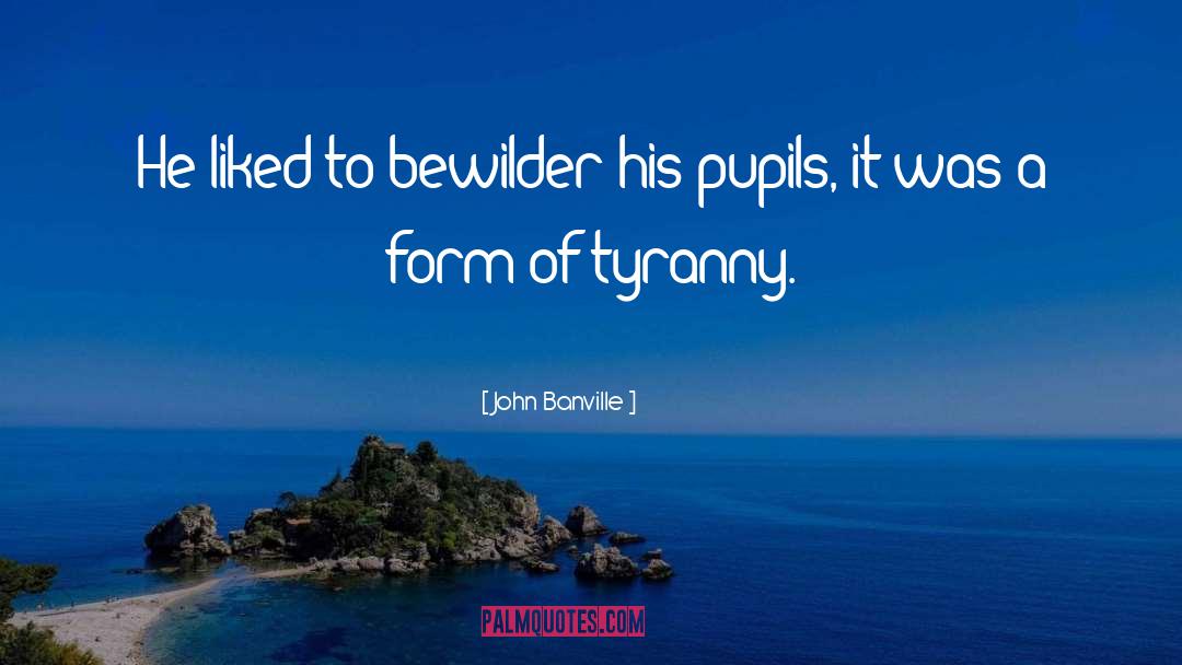 John Banville quotes by John Banville