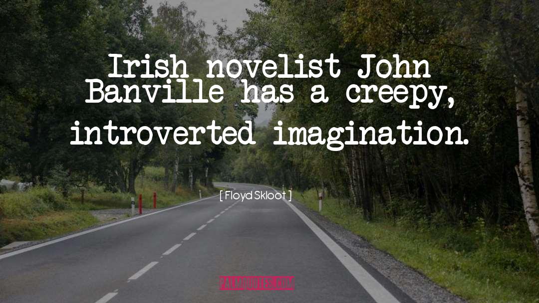 John Banville quotes by Floyd Skloot