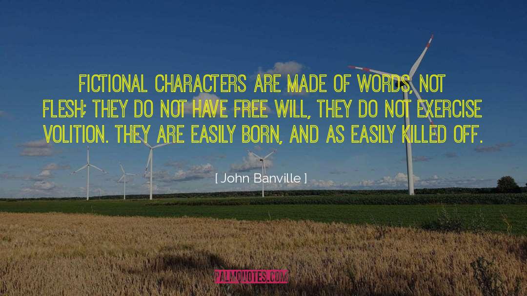 John Banville quotes by John Banville