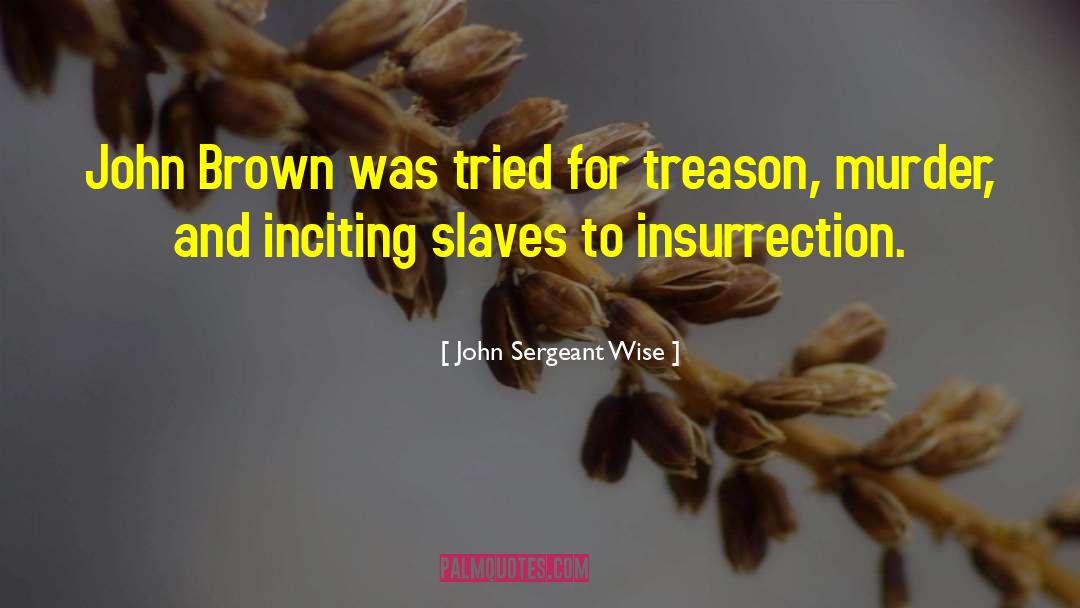 John Brown quotes by John Sergeant Wise