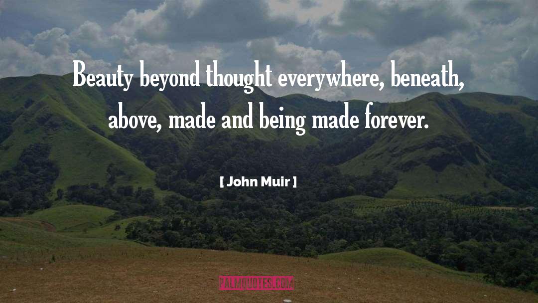 John Burdett quotes by John Muir