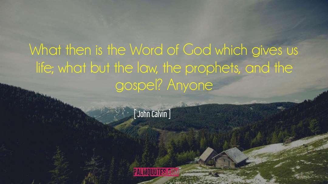 John Calvin quotes by John Calvin