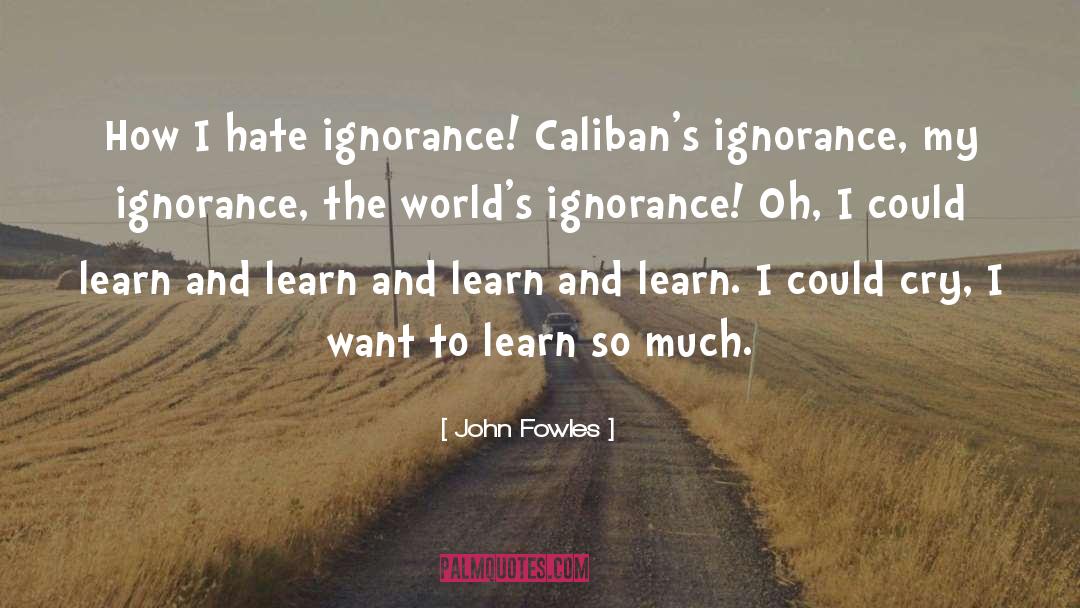 John Fowles quotes by John Fowles