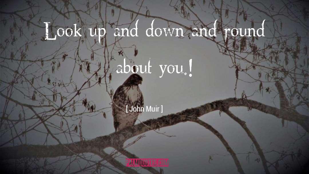 John Muir quotes by John Muir