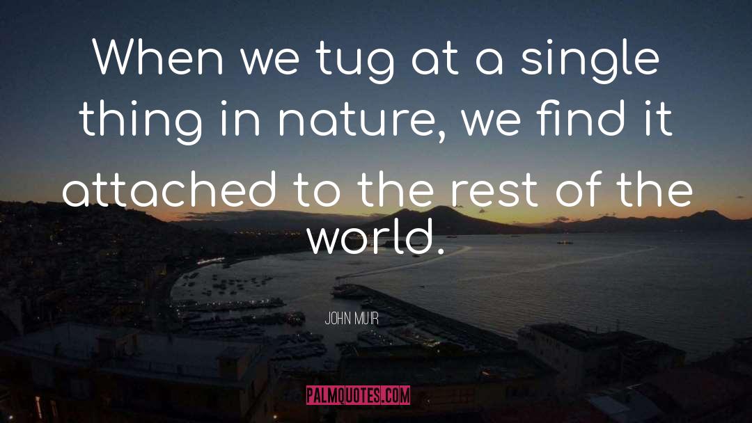 John Muir quotes by John Muir