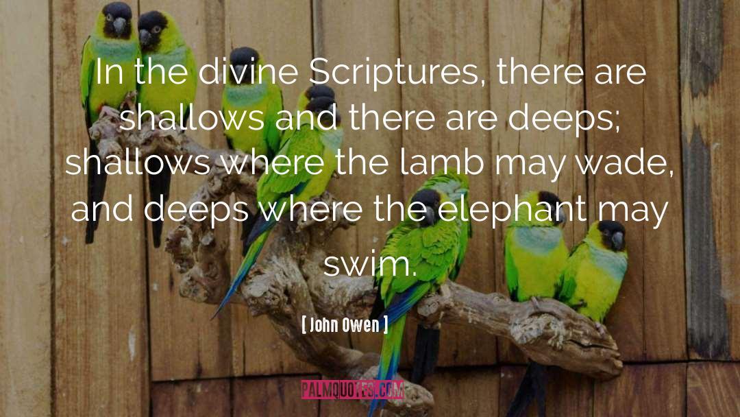 John Owen quotes by John Owen