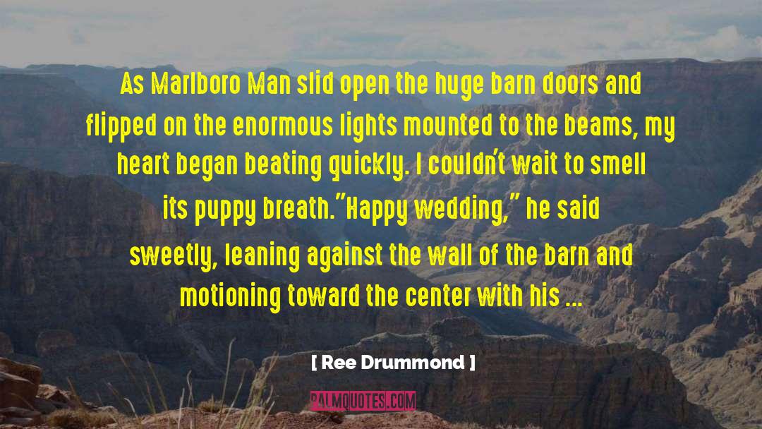 John Ringo quotes by Ree Drummond