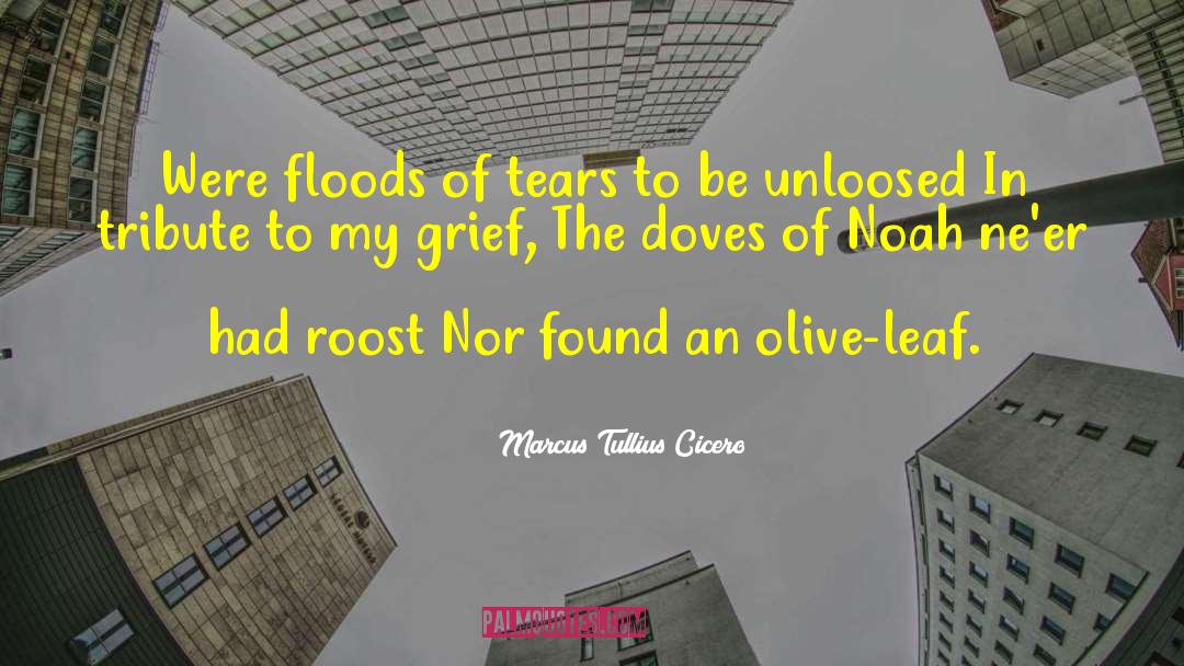 Johnstown Flood quotes by Marcus Tullius Cicero