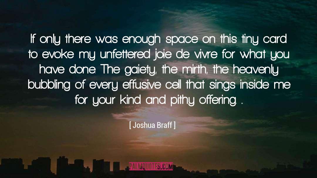 Joie quotes by Joshua Braff