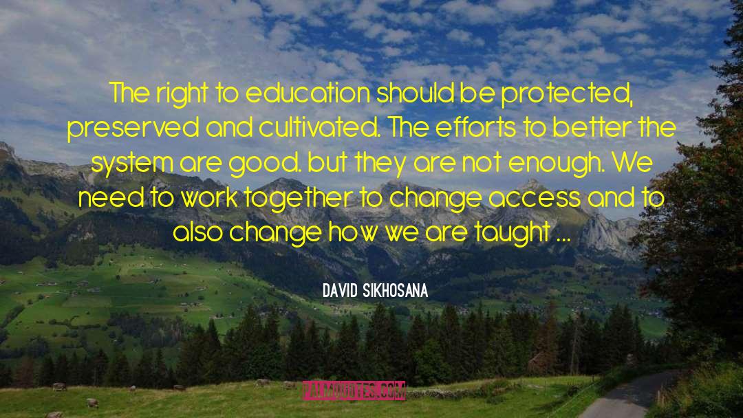 Joint Efforts quotes by David Sikhosana