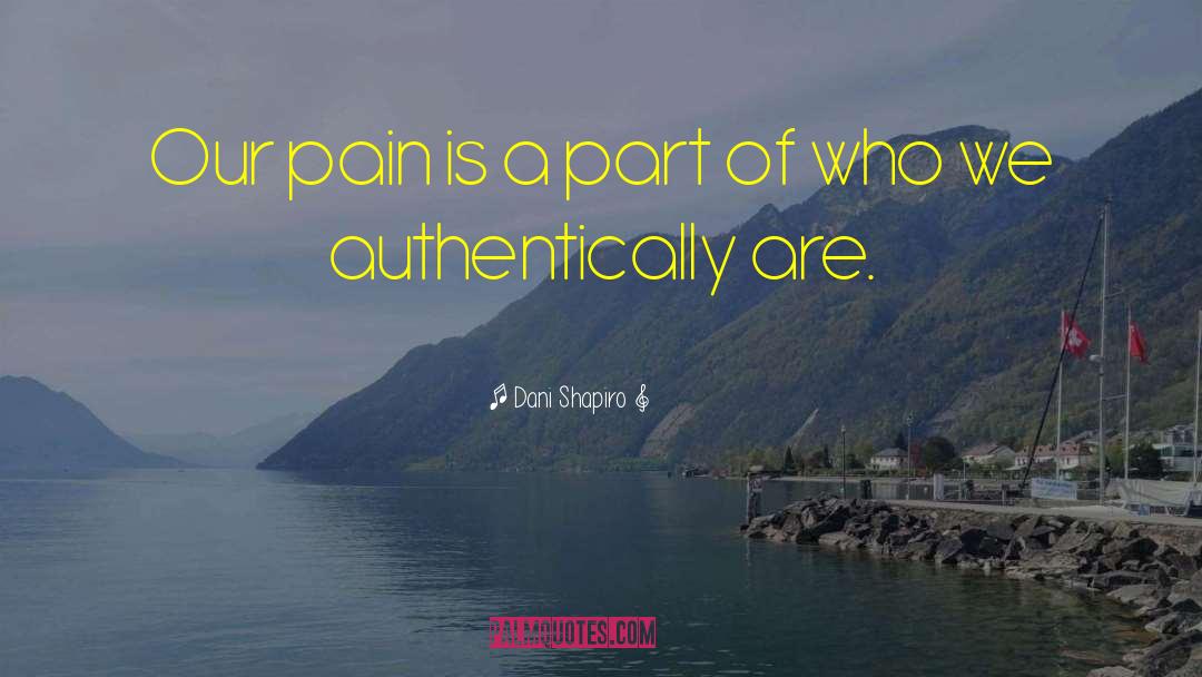 Joint Pain quotes by Dani Shapiro