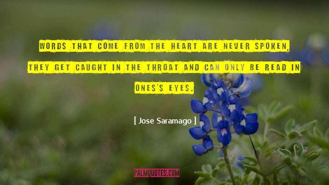 Jose Alfredo quotes by Jose Saramago