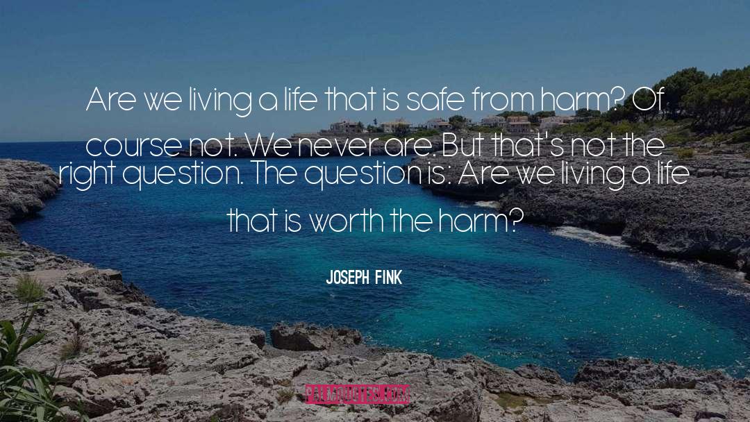 Joseph Fink quotes by Joseph Fink