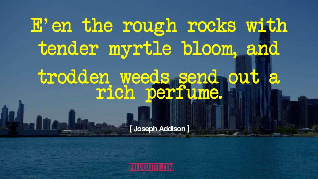Joseph Smith Rough Stone Rolling Quote quotes by Joseph Addison