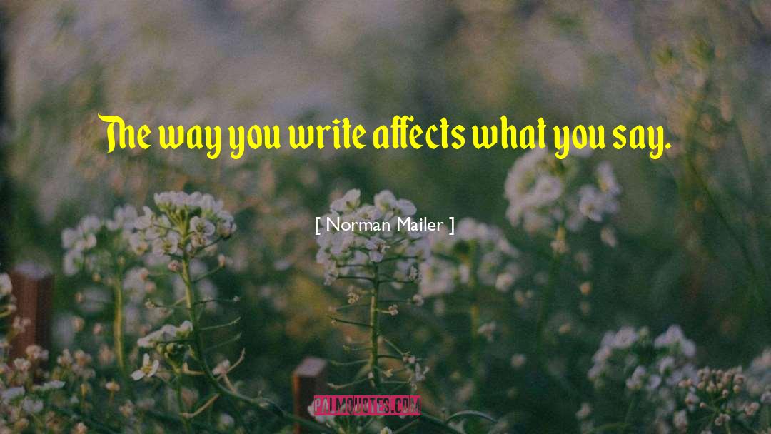 Journal Writing quotes by Norman Mailer