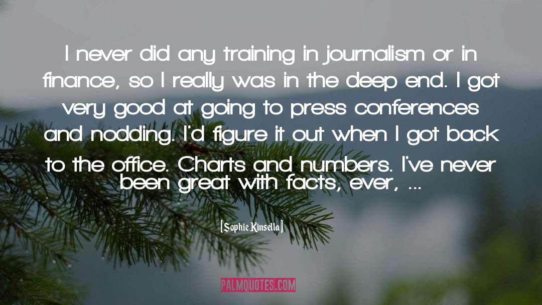 Journalism quotes by Sophie Kinsella