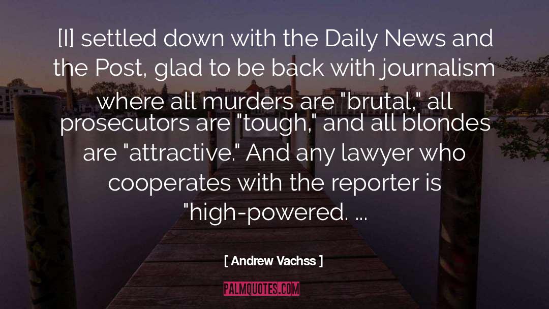 Journalism quotes by Andrew Vachss