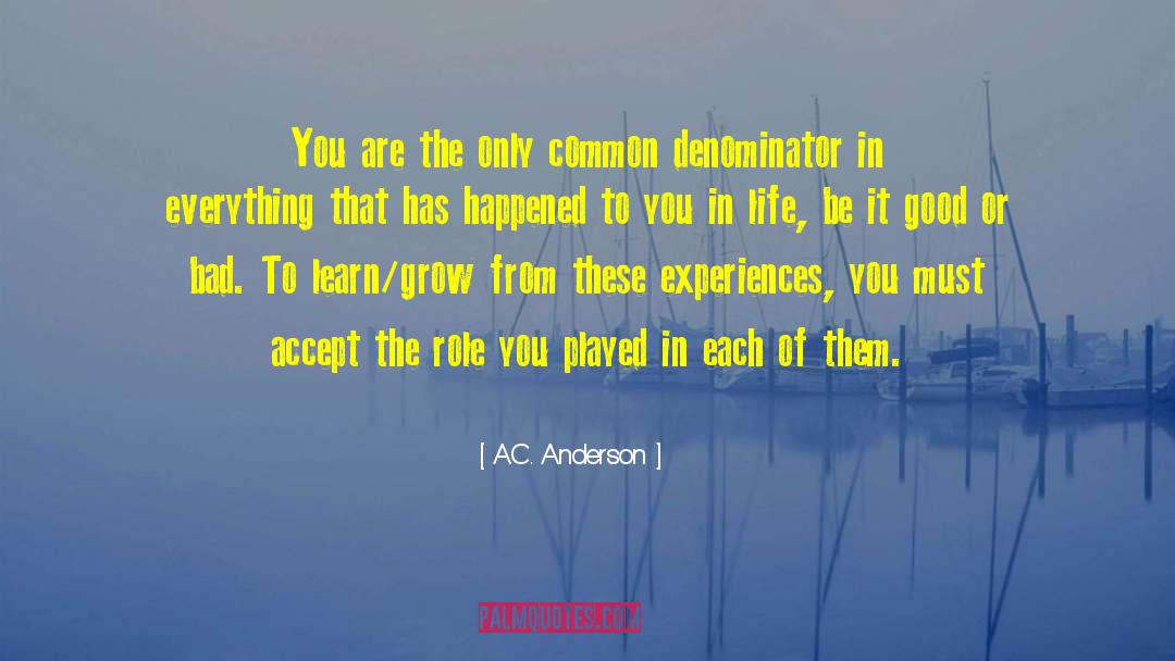 Journey In Life quotes by A.C. Anderson