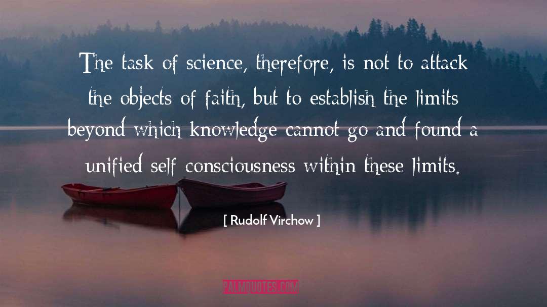 Journey Of Faith quotes by Rudolf Virchow