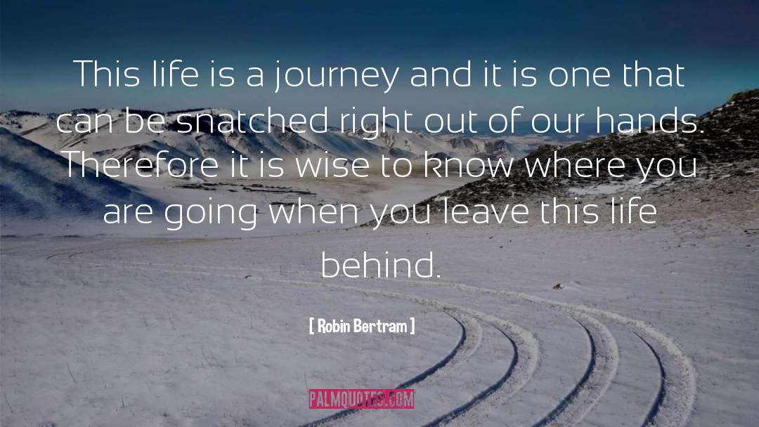 Journey Of Life Journey quotes by Robin Bertram